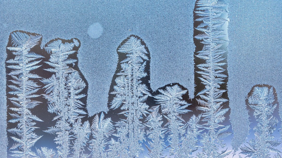 Feathery frost patterns spreading across a window pane in plant-like shapes, lit by a pale winter sky.
