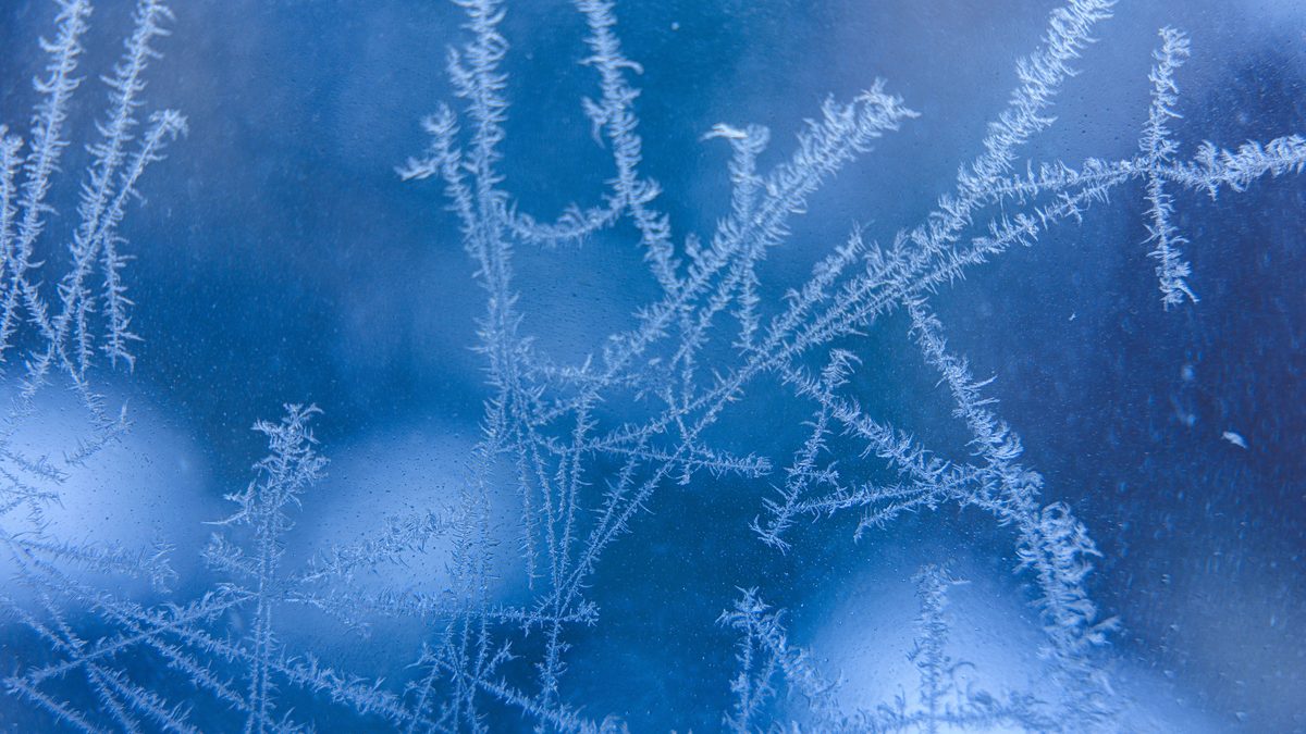 Exquisite frost patterns on glass depict the chilly wonders of winter, capturing icy elegance.