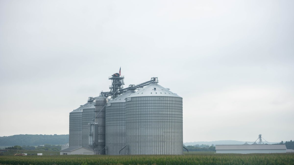 Grain silos standing tall in a rural Minnesota landscape under a cloudy sky.