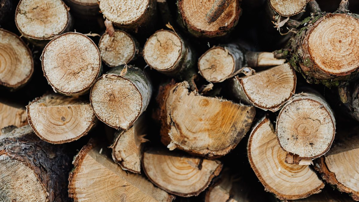 Big stack of logs of different shapes and sizes prepared for fuelwood in countryside.