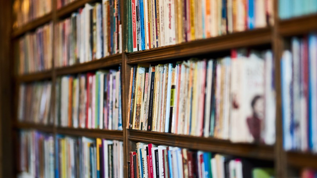 A detailed close-up view of a bookshelf in a library, showcasing various books.
