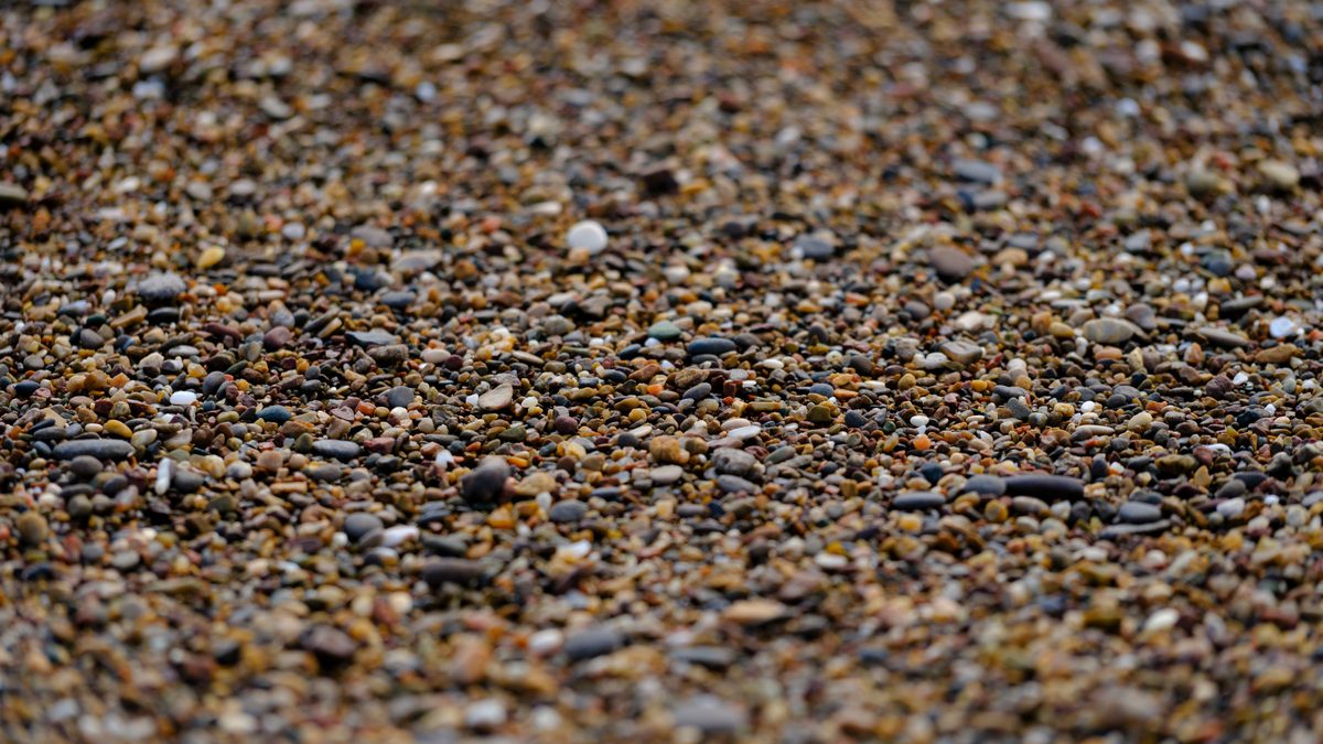 Intricate close-up view of a pebble-covered surface with diverse textures.